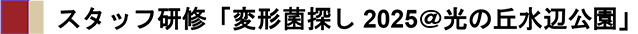 スタッフ研修「変形菌探し2025＠光の丘水辺公園」
