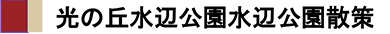 光の丘水辺公園散策