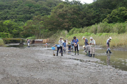109reikai_miosuji.jpg(8543 byte)