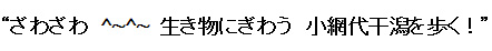 ԑ̐XƊ