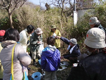 小網代の森と干潟を守る会
