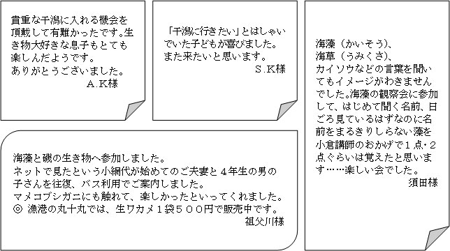 小網代の森と干潟を守る会