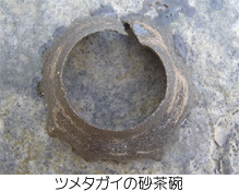 小網代の森と干潟を守る会