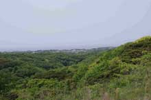 小網代の森と干潟を守る会