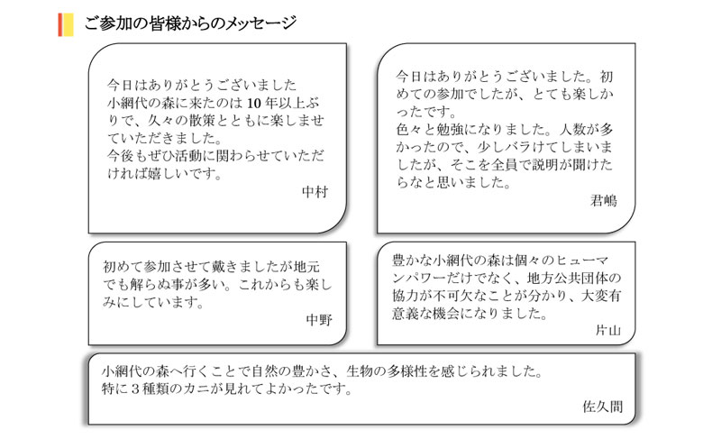 小網代の森と干潟を守る会,観察,カワウ,鳥パト