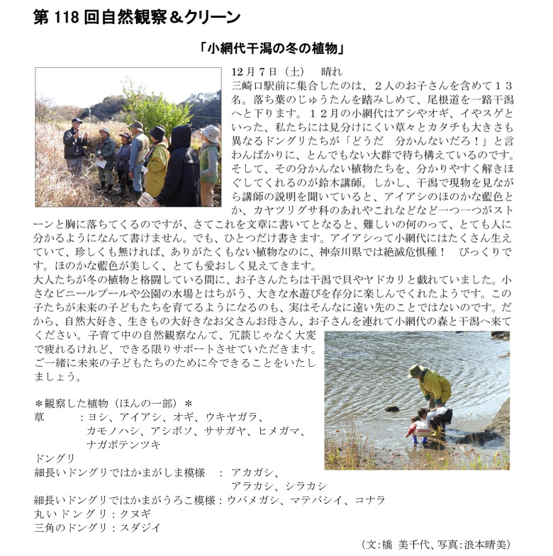 小網代の森と干潟を守る会,冬の植物