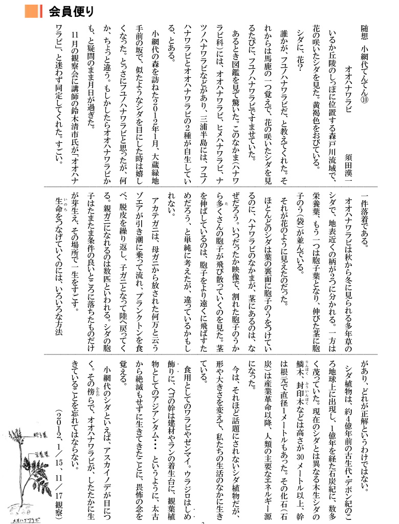 小網代の森と干潟を守る会,会員