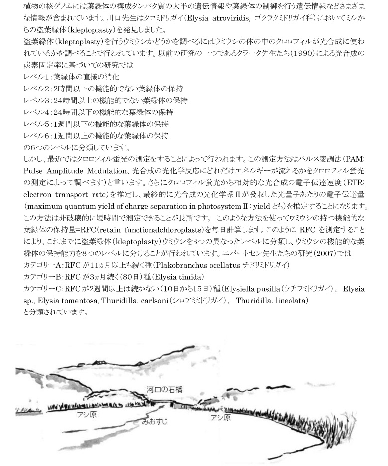小網代の森と干潟を守る会,干潟