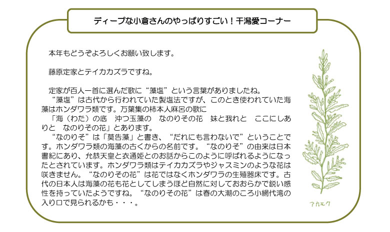 テイカカズラ,干潟愛