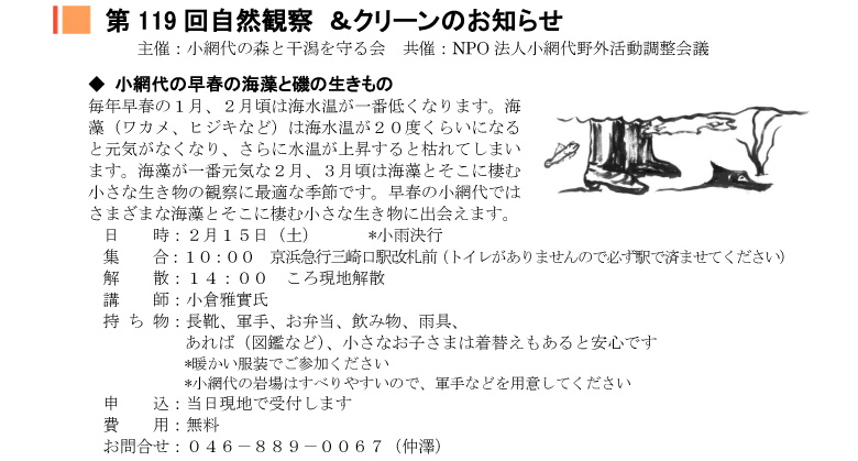 小網代の森と干潟を守る会,観察会