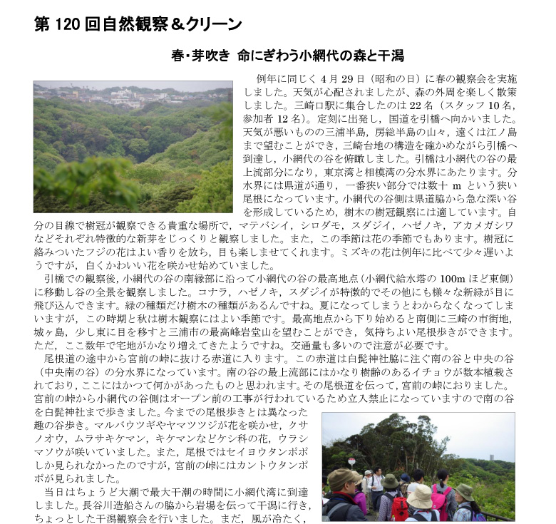 小網代の森と干潟を守る会,観察会