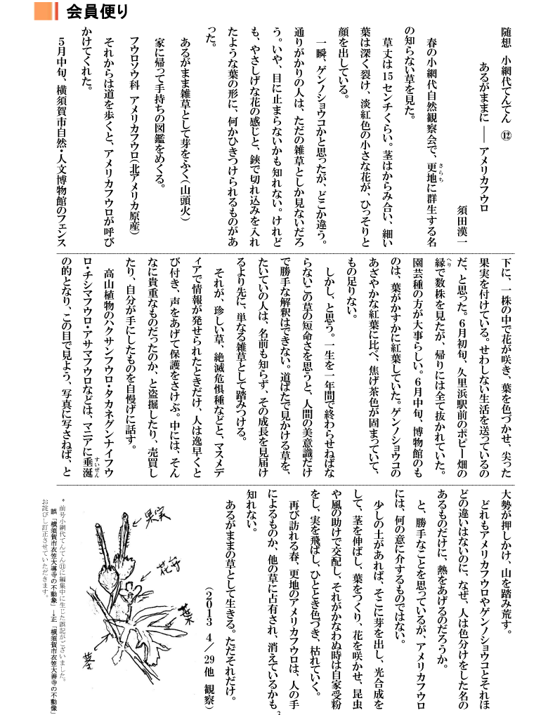 小網代の森と干潟を守る会