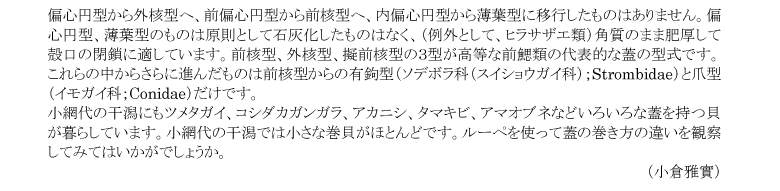 小網代の森と干潟を守る会,貝,ふた