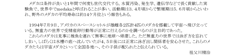 小網代の森と干潟を守る会,メダカ