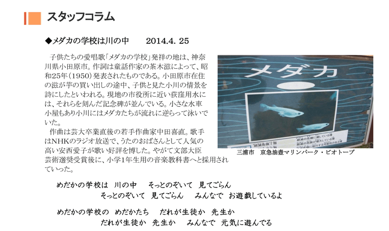 小網代の森と干潟を守る会,メダカ