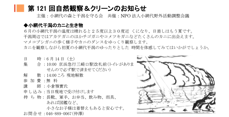 小網代の森と干潟を守る会,観察会
