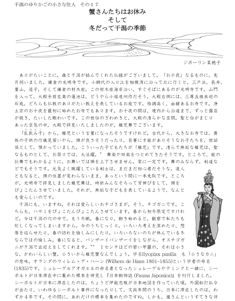小網代干潟のゆりかご01