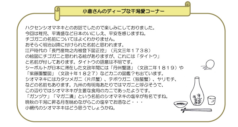 小網代干潟のゆりかご05