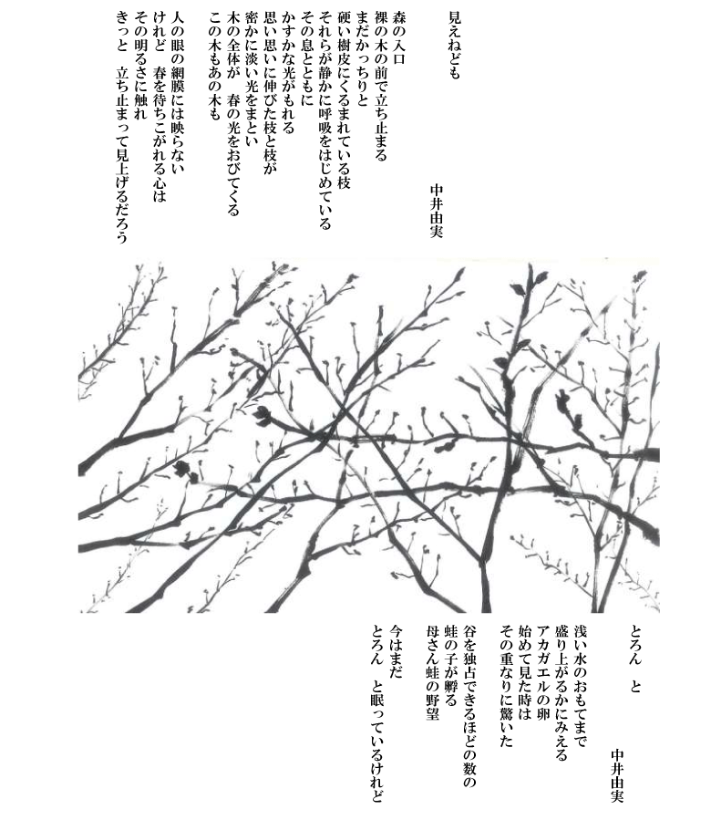小網代の森と干潟を守る会