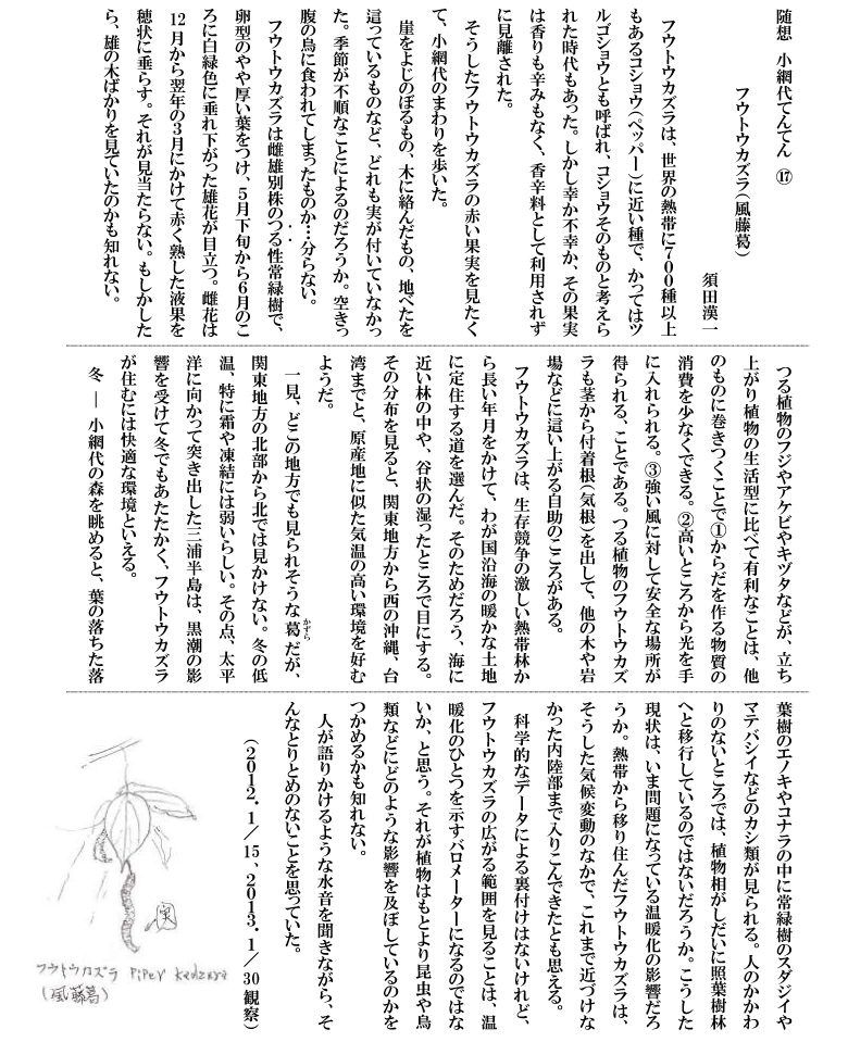 フウトウカズラ